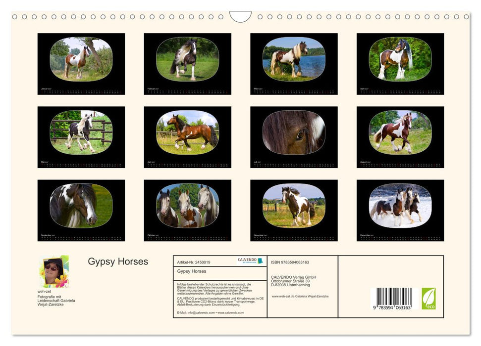Gypsy Horses (CALVENDO Wandkalender 2027)