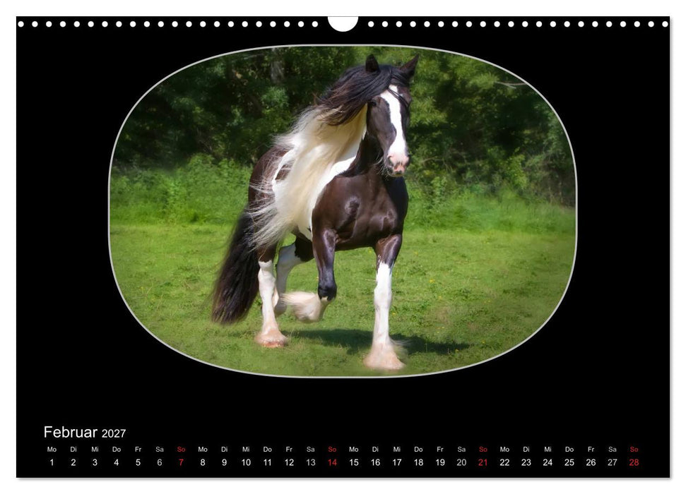 Gypsy Horses (CALVENDO Wandkalender 2027)