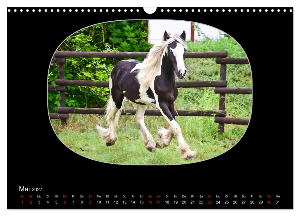 Gypsy Horses (CALVENDO Wandkalender 2027)