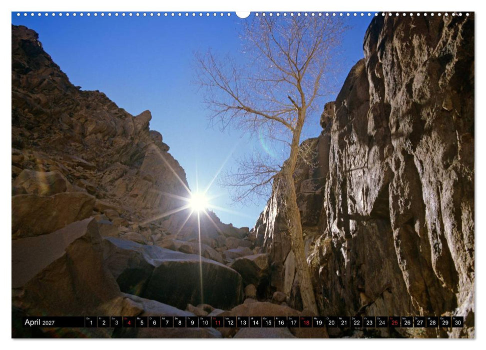 Sinai - Landschaft aus Fels und Sand (CALVENDO Wandkalender 2027)