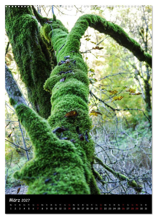 Urlandschaft Wutachschlucht (CALVENDO Premium Wandkalender 2027)