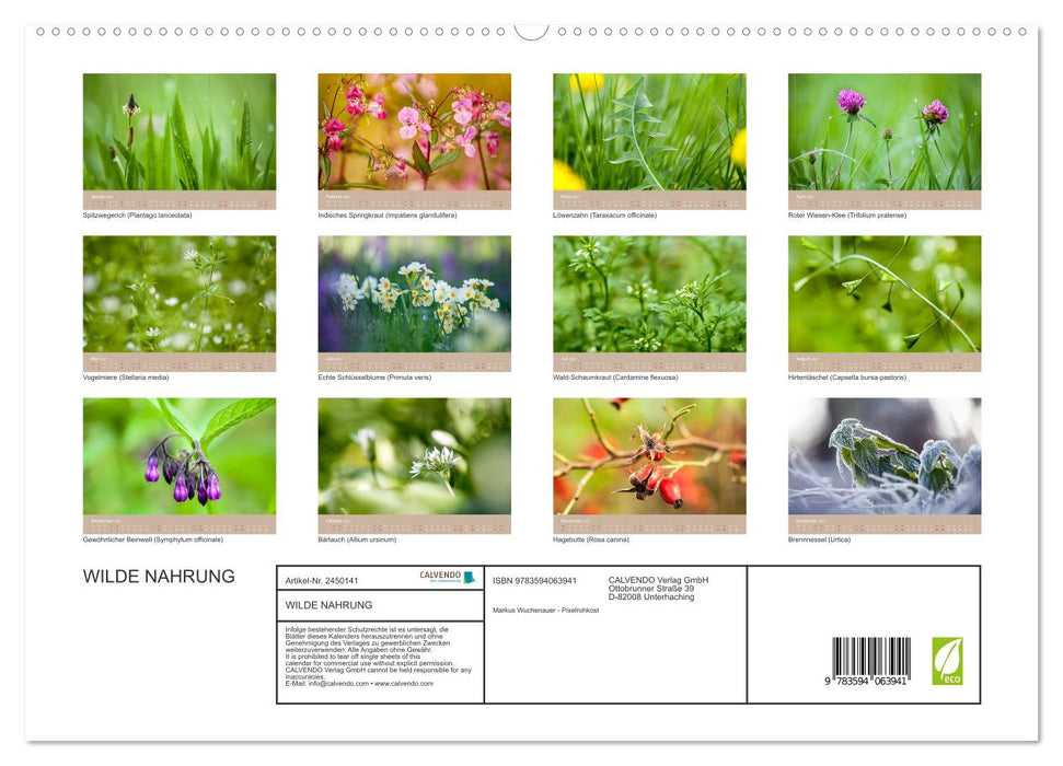 WILDE NAHRUNG (CALVENDO Wandkalender 2027)