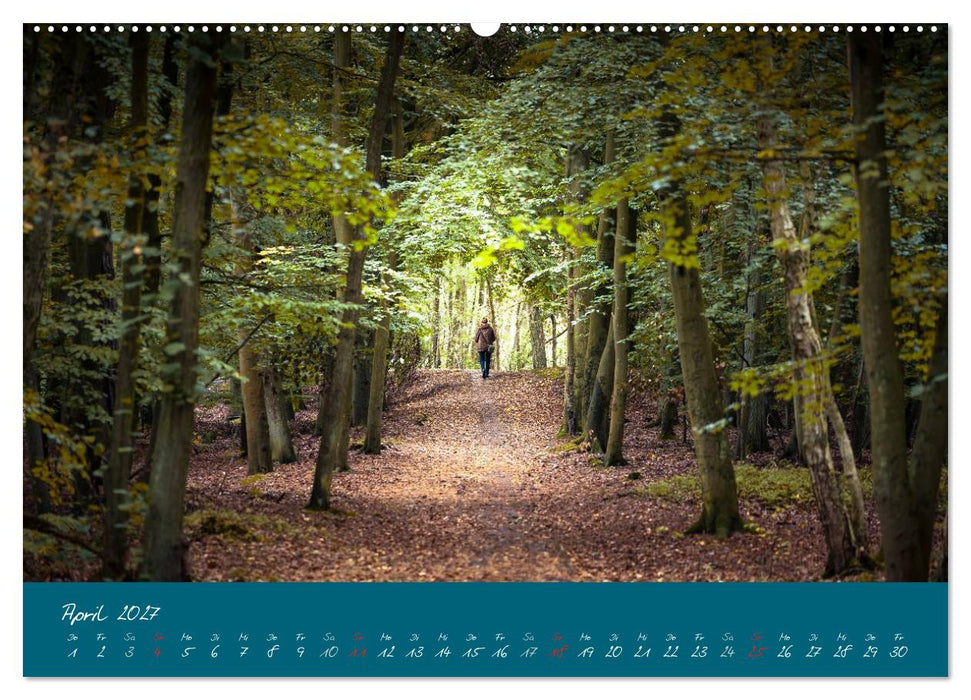 Blick auf die Halbinsel Fischland, Darß und Zingst (CALVENDO Premium Wandkalender 2027)