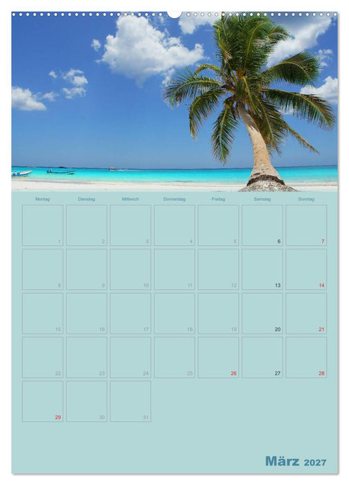 Karibik - Sonne, Strand und Palmen (CALVENDO Wandkalender 2027)