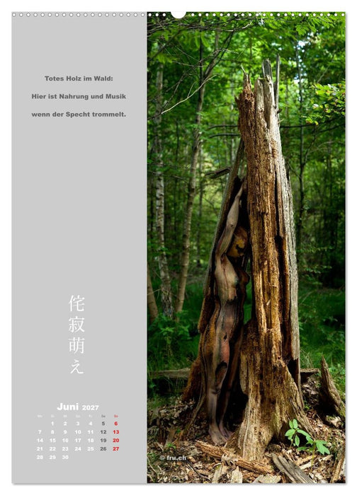 wabi sabi moe — bewundernswert vergänglich erotisch — Akt/Bodypainting (CALVENDO Wandkalender 2027)