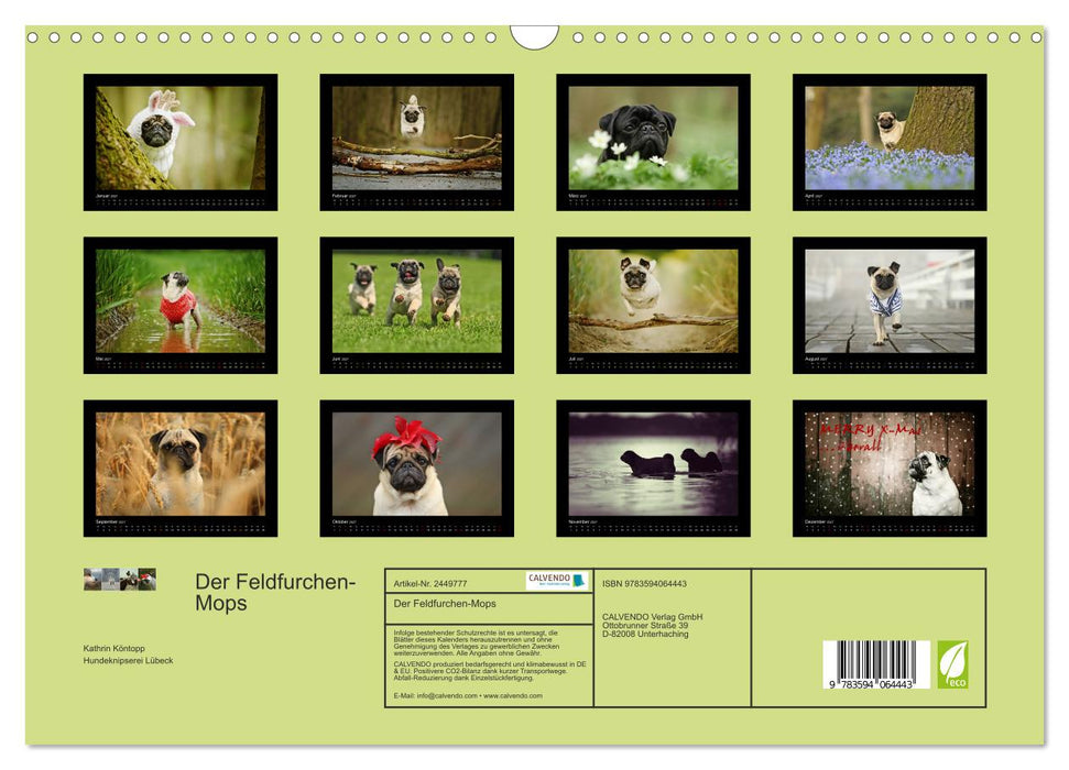 Der Feldfurchen-Mops (CALVENDO Wandkalender 2027)