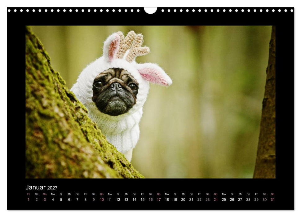 Der Feldfurchen-Mops (CALVENDO Wandkalender 2027)