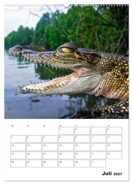 Sri Lanka 2027 - Exotisches Paradies - Jahresplaner (CALVENDO Premium Wandkalender 2027)