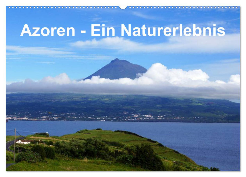 Azoren - Ein Naturerlebnis (CALVENDO Wandkalender 2027)