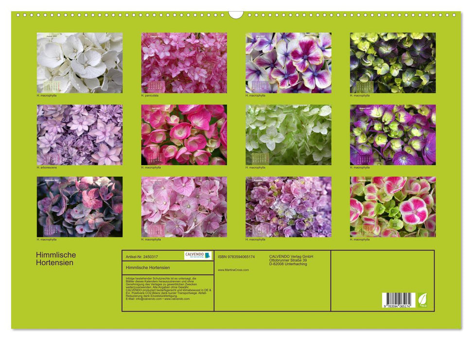 Himmlische Hortensien (CALVENDO Wandkalender 2027)