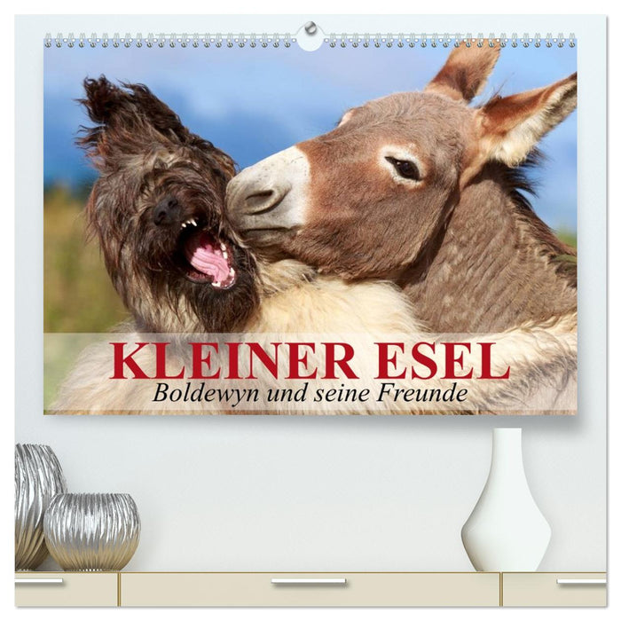Kleiner Esel. Boldewyn und seine Freunde (CALVENDO Premium Wandkalender 2027)