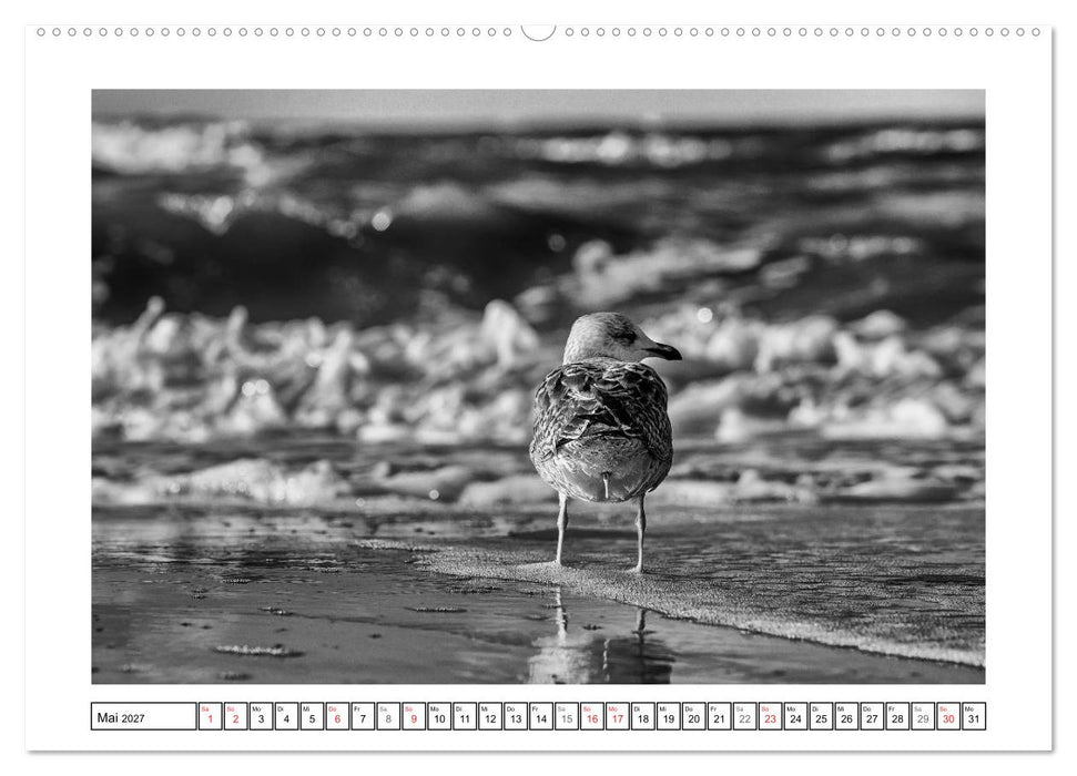 Am Strand von St. Peter-Ording SCHWARZ-WEISS (CALVENDO Wandkalender 2027)