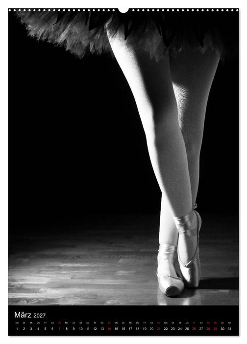 Ballett in Schwarzweiss (CALVENDO Wandkalender 2027)