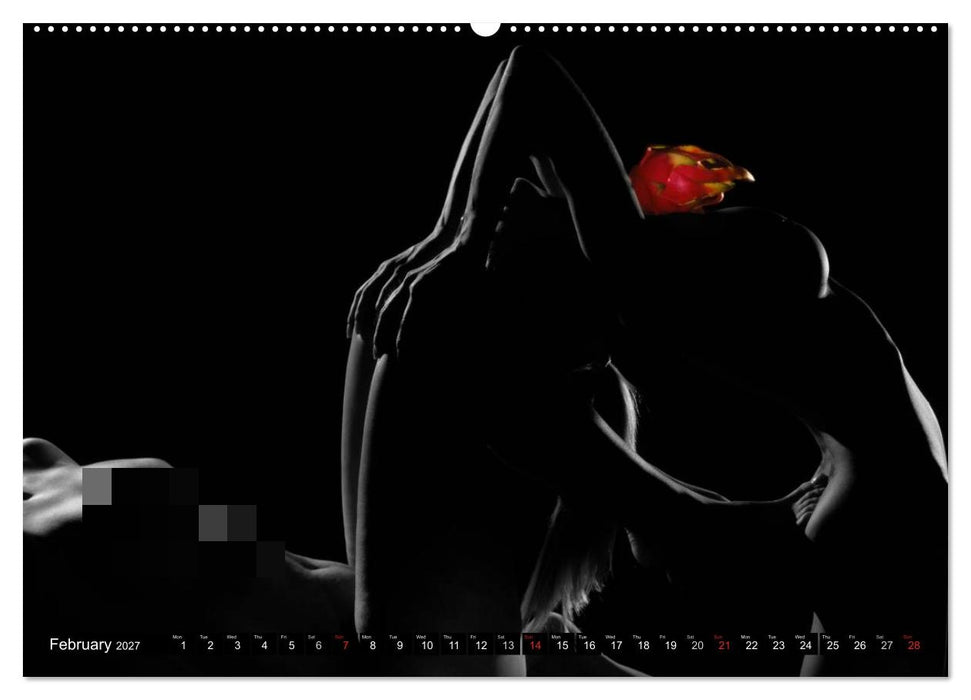 Fruit Nudes (CALVENDO Premium-Calendar 2027)