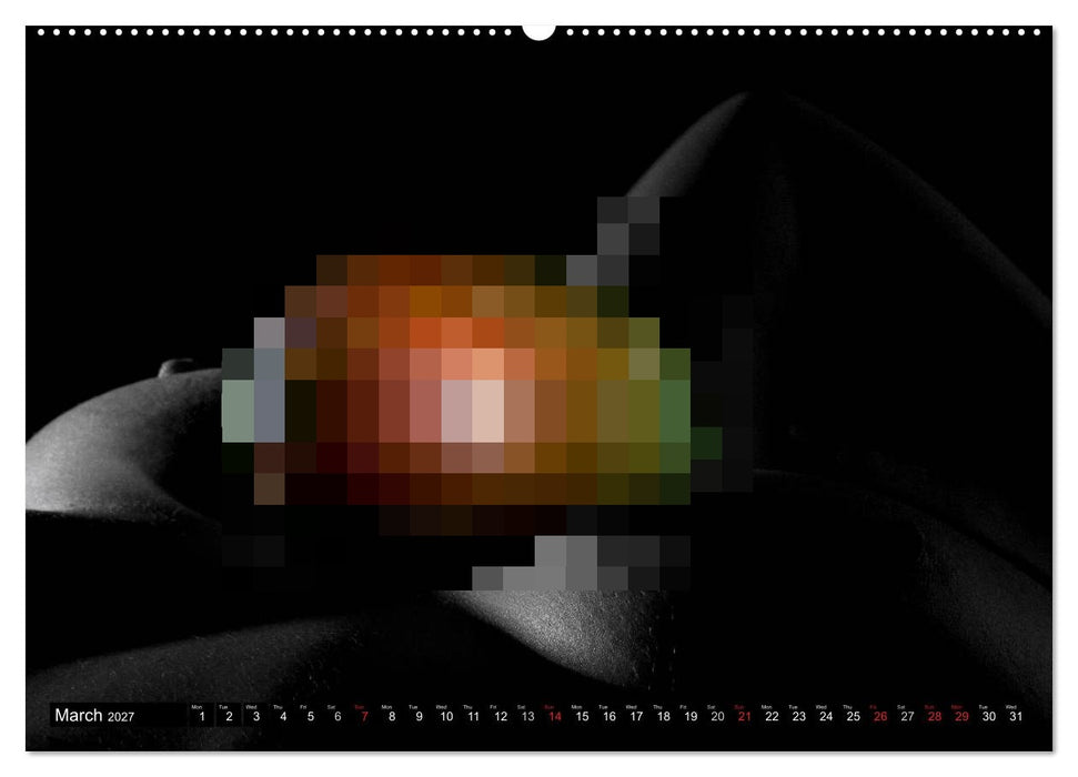 Fruit Nudes (CALVENDO Premium-Calendar 2027)