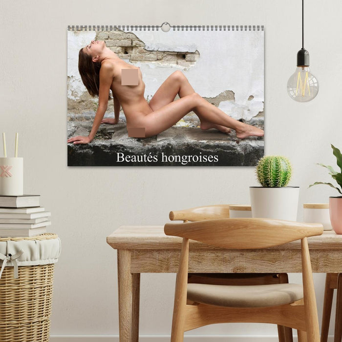 Beautés hongroises (CALVENDO Calendrier mensuel 2027)