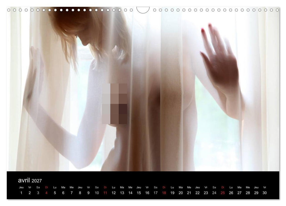 Beautés hongroises (CALVENDO Calendrier mensuel 2027)