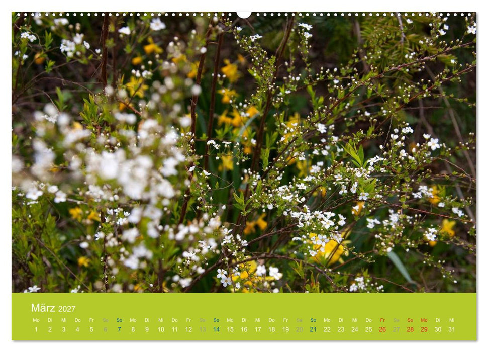 Gartenflüstern (CALVENDO Wandkalender 2027)
