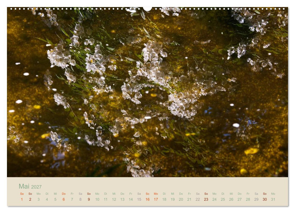 Gartenflüstern (CALVENDO Wandkalender 2027)