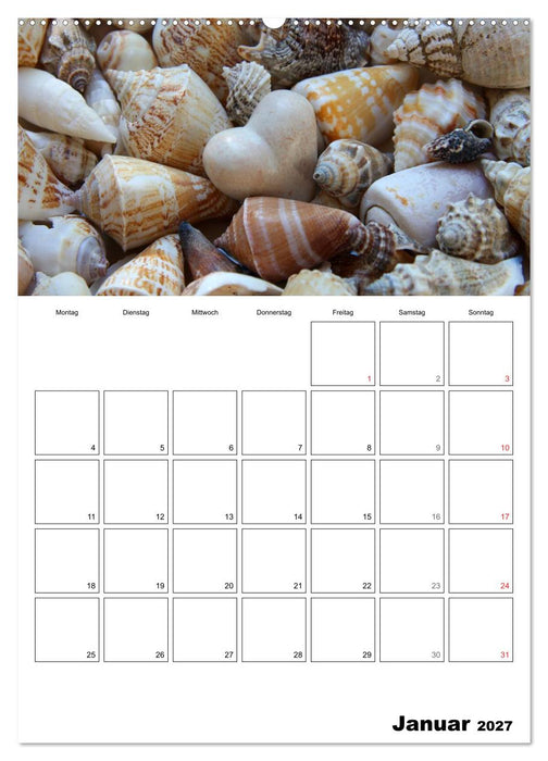 Ein herzliches Jahr (CALVENDO Wandkalender 2027)