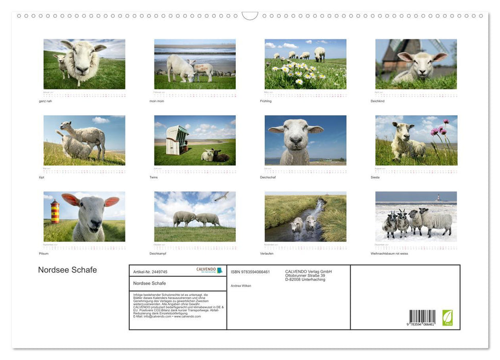 Nordsee Schafe (CALVENDO Wandkalender 2027)