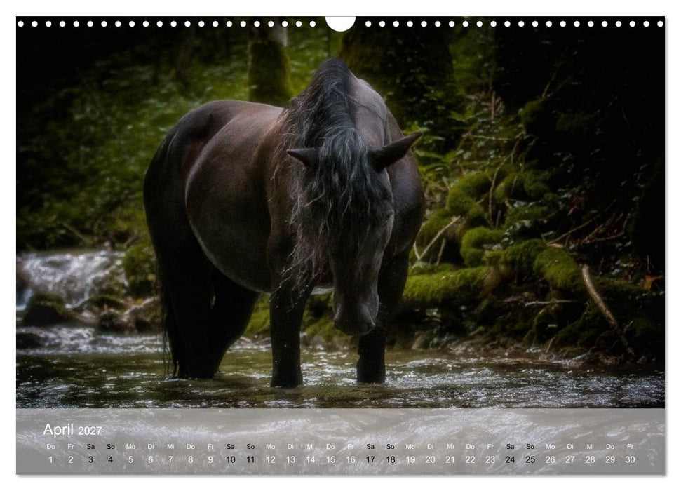 Pferde - Anmut und Stärke gepaart mit Magie (CALVENDO Wandkalender 2027)