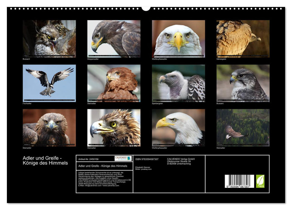 Adler und Greife - Könige des Himmels (CALVENDO Premium Wandkalender 2027)