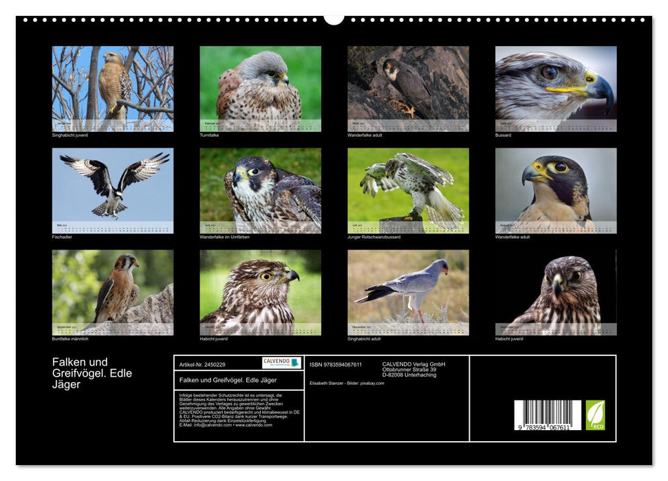 Falken und Greifvögel. Edle Jäger (CALVENDO Premium Wandkalender 2027)