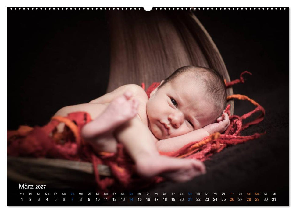 Baby - süße Träume (CALVENDO Wandkalender 2027)