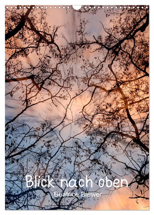 Blick nach oben (CALVENDO Wandkalender 2027)