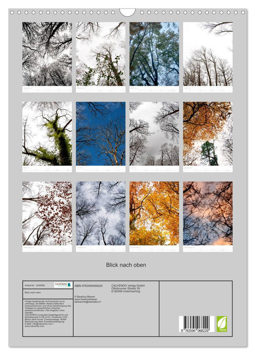 Blick nach oben (CALVENDO Wandkalender 2027)