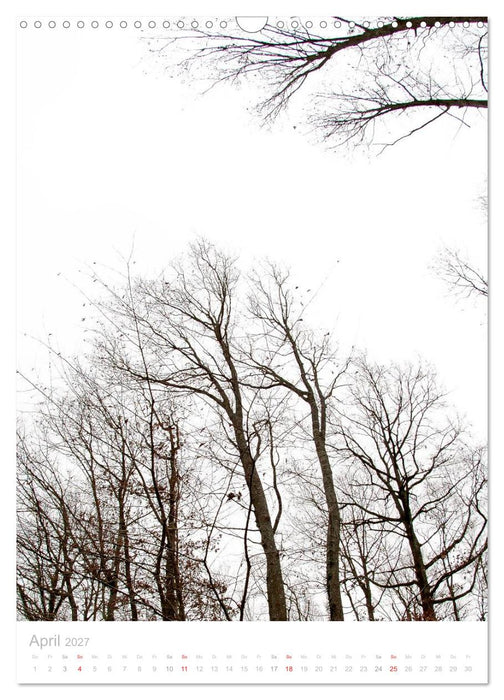 Blick nach oben (CALVENDO Wandkalender 2027)