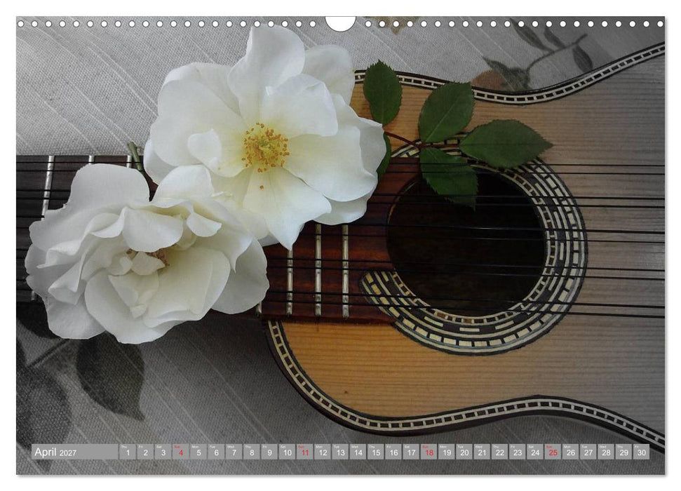 Music Magic of musical instruments (CALVENDO Monthly Calendar 2027)
