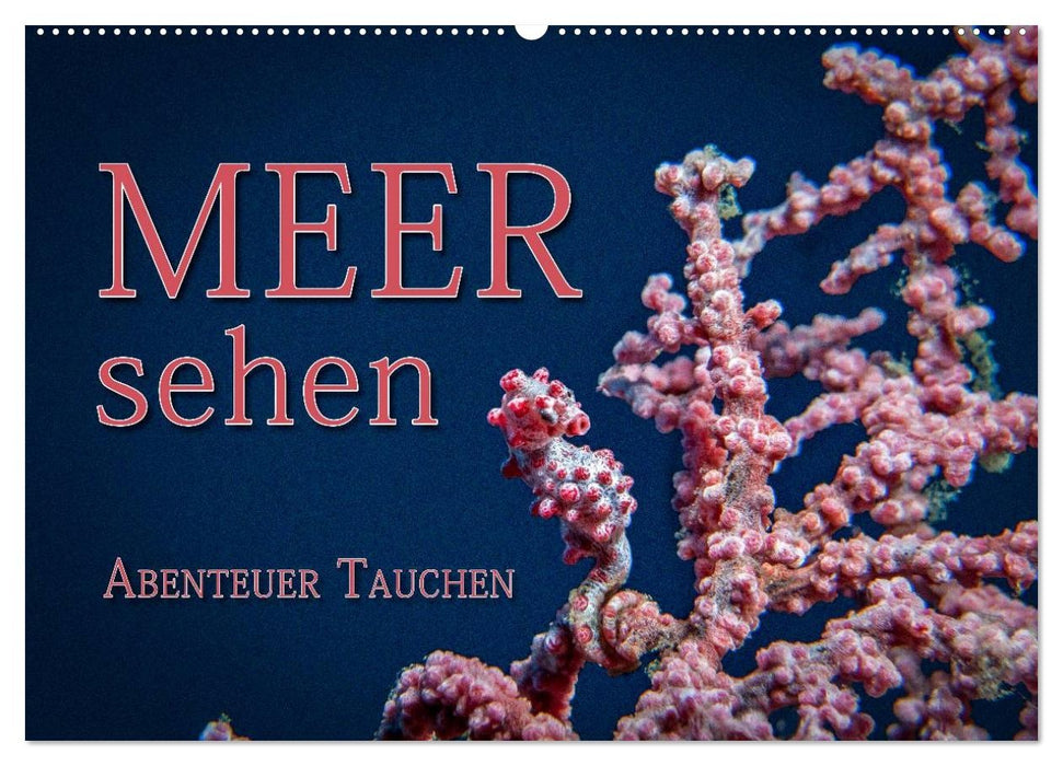 Meer sehen - Abenteuer Tauchen (CALVENDO Wandkalender 2027)