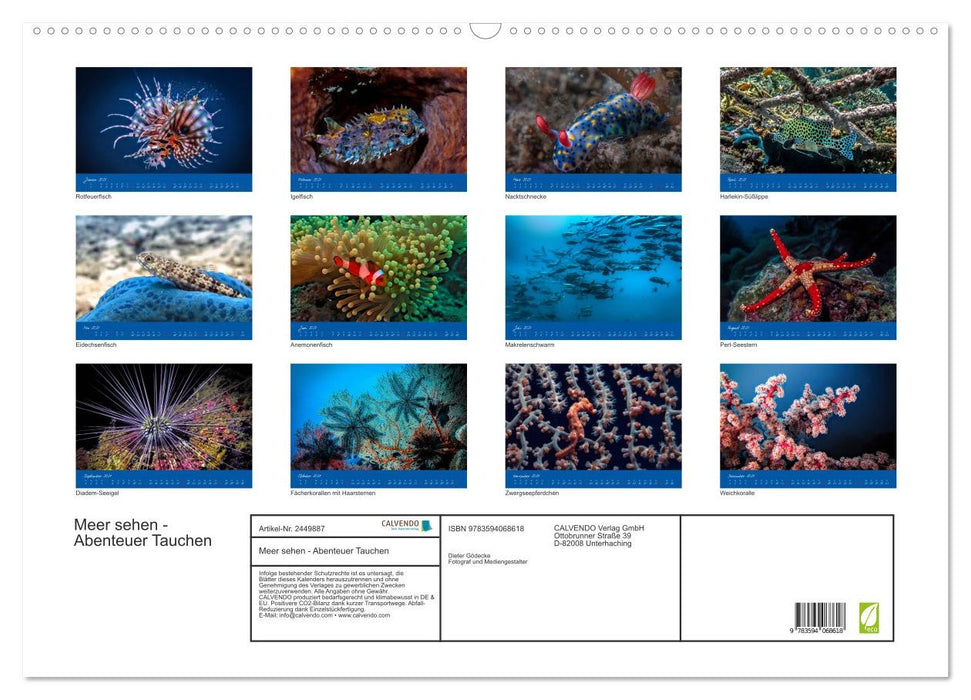 Meer sehen - Abenteuer Tauchen (CALVENDO Wandkalender 2027)