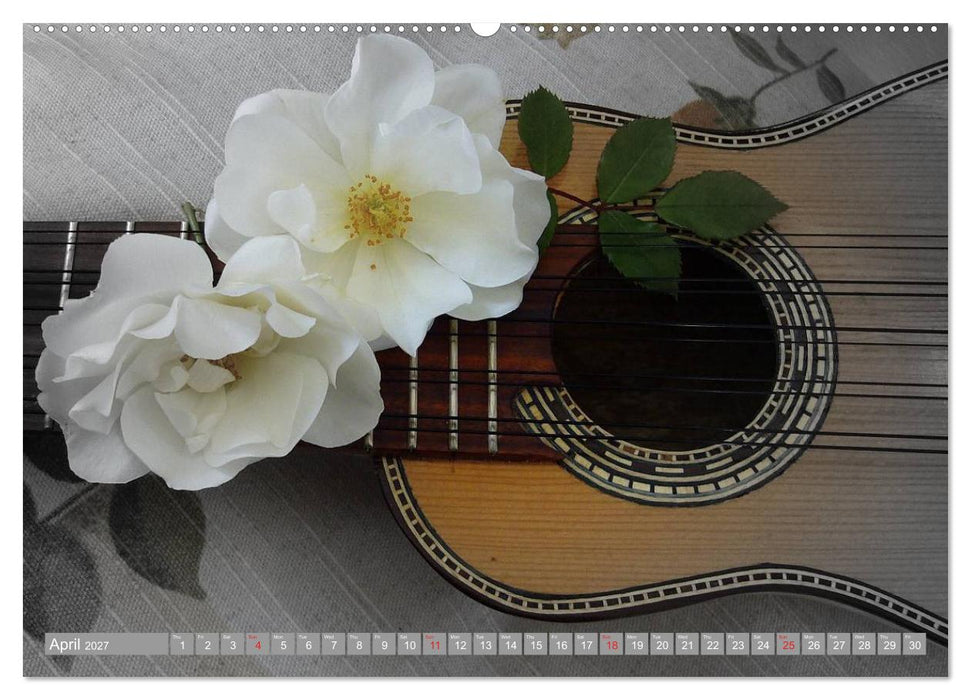 Music Magic of musical instruments (CALVENDO Premium-Calendar 2027)