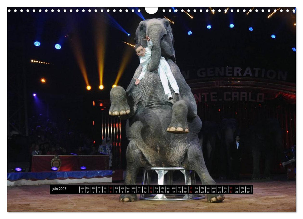 Les cadets du cirque à Monaco (CALVENDO Calendrier mensuel 2027)