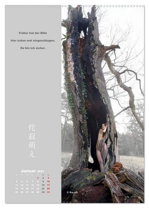 wabi sabi moe — bewundernswert vergänglich erotisch — Akt/Bodypainting (CALVENDO Premium Wandkalender 2027)