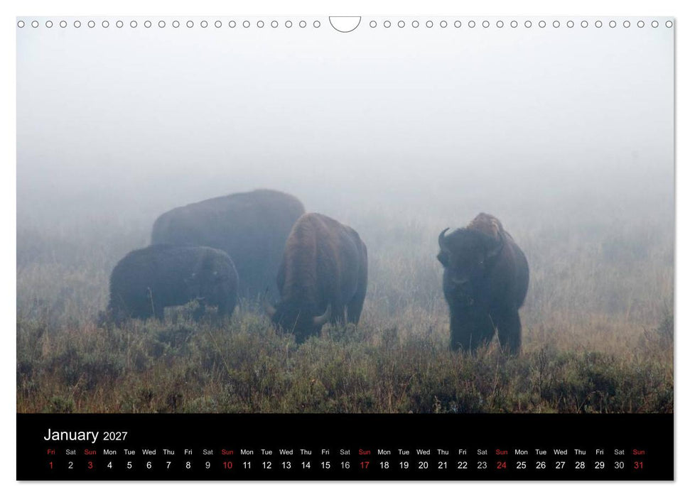 Beautiful Yellowstone and Grand Tetons National Parks (CALVENDO Monthly Calendar 2027)