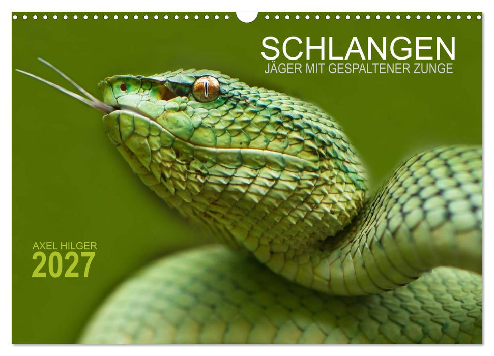 SCHLANGEN. JÄGER MIT GESPALTENER ZUNGE (CALVENDO Wandkalender 2027)