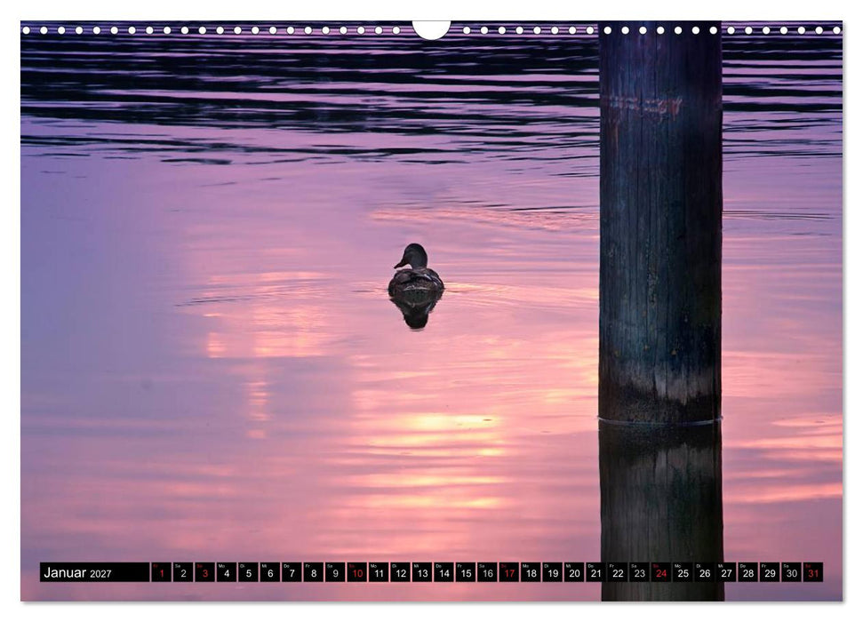 Mecklenburgische Seenplatte - zum Träumen schön (CALVENDO Wandkalender 2027)