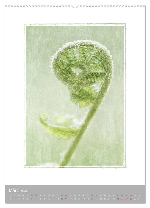 Kunstwerk Natur (CALVENDO Wandkalender 2027)