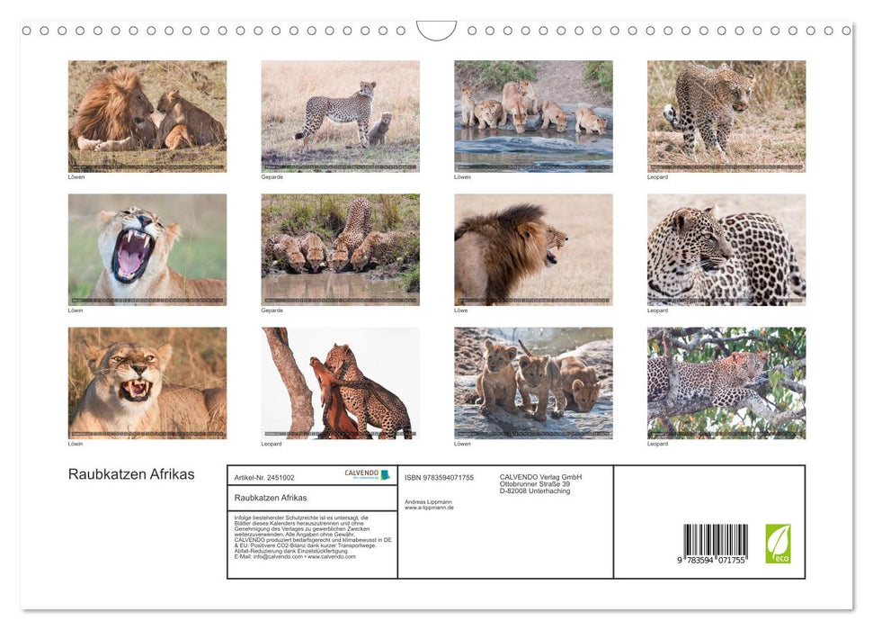 Raubkatzen Afrikas (CALVENDO Wandkalender 2027)
