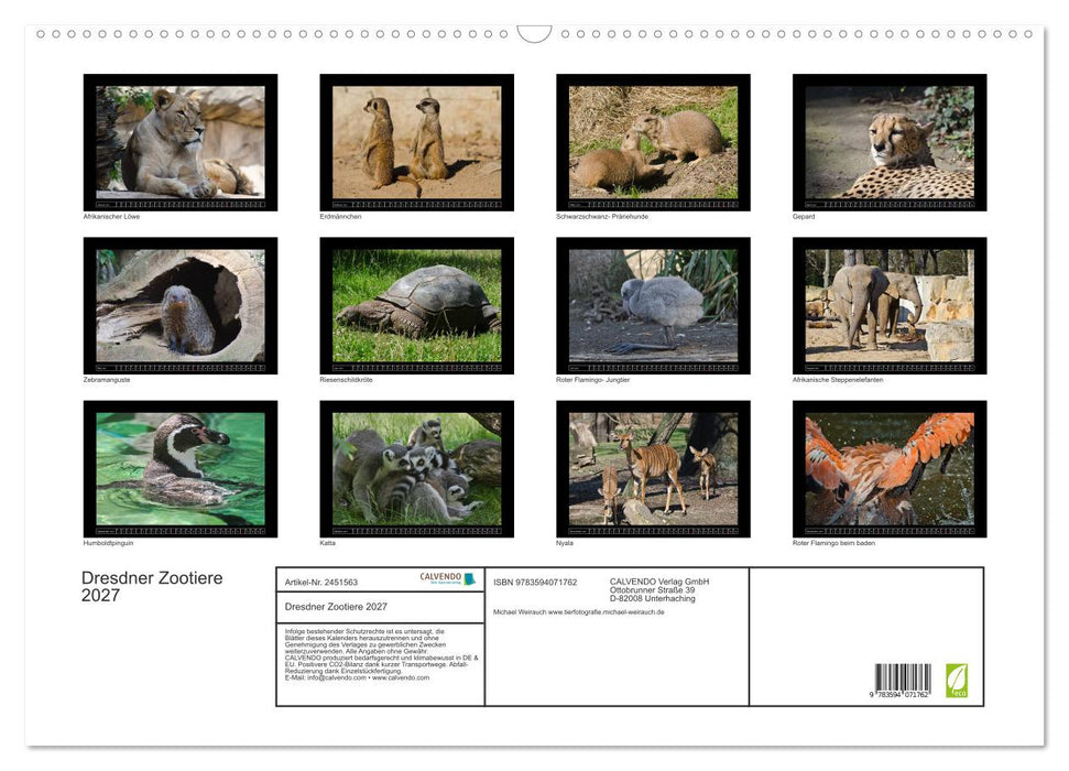 Dresdner Zootiere 2027 (CALVENDO Wandkalender 2027)