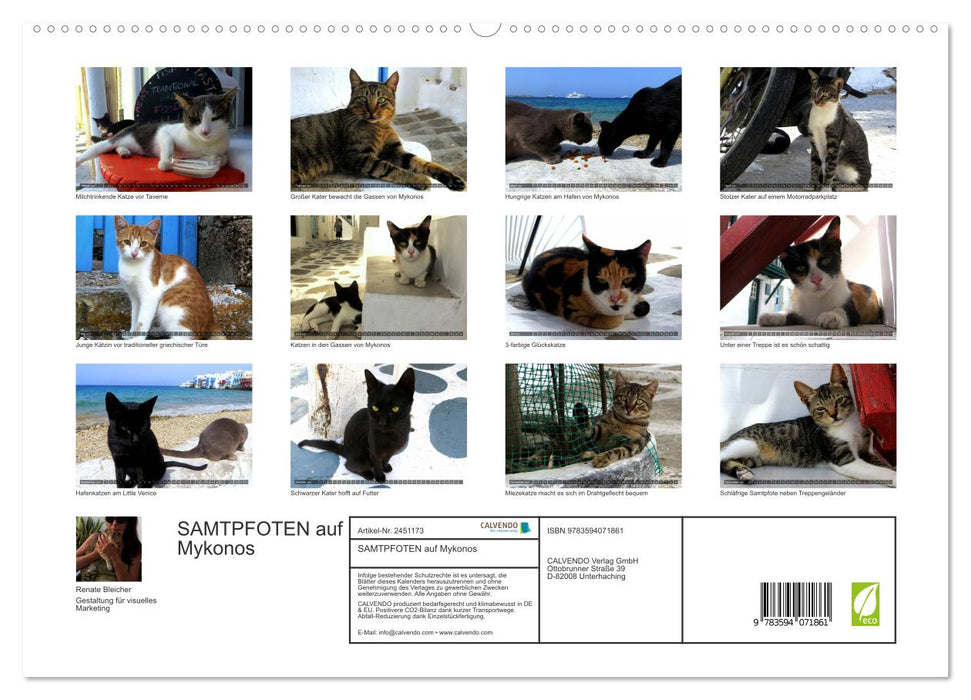 SAMTPFOTEN auf Mykonos (CALVENDO Premium Wandkalender 2027)