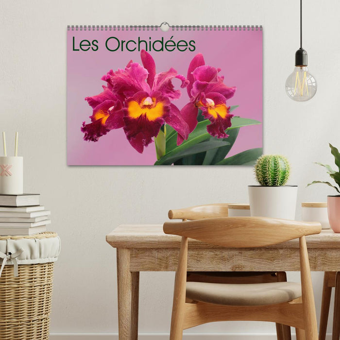 Les Orchidées (CALVENDO Calendrier mensuel 2027)