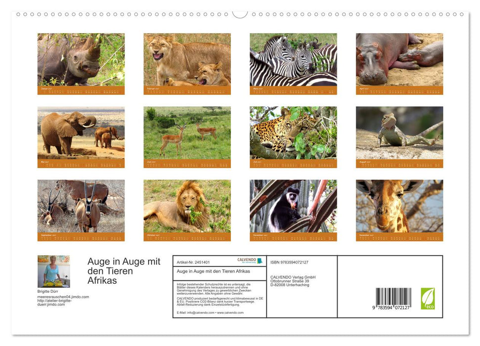 Auge in Auge mit den Tieren Afrikas (CALVENDO Premium Wandkalender 2027)