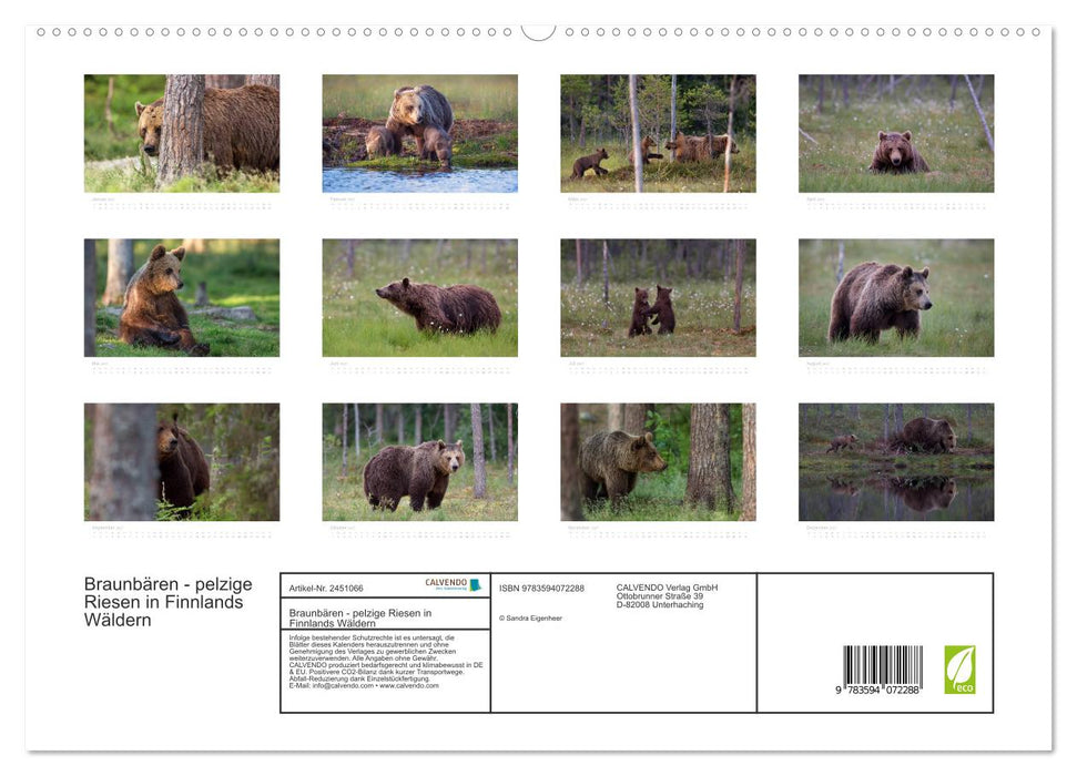 Braunbären - pelzige Riesen in Finnlands Wäldern (CALVENDO Premium Wandkalender 2027)