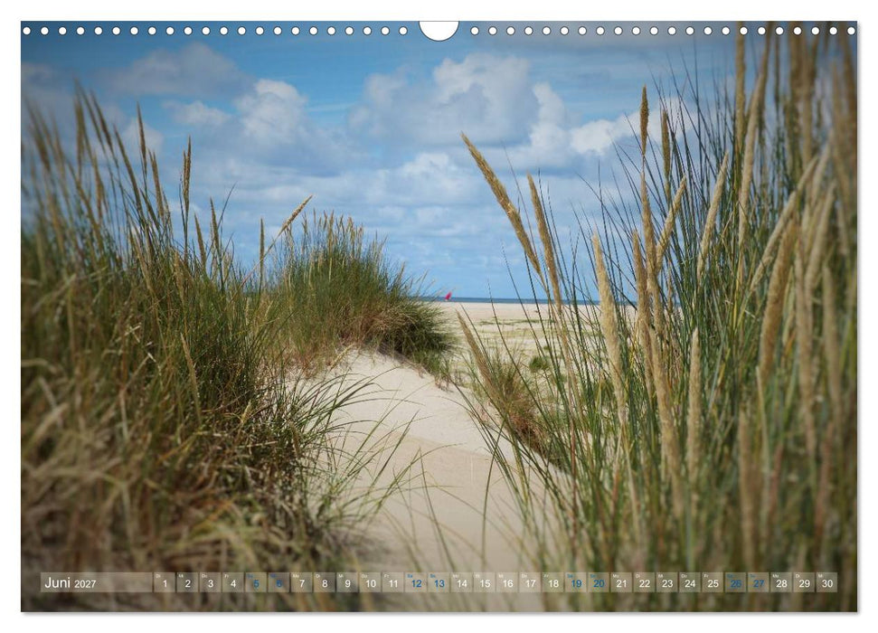 Texel. Neue Dünen (CALVENDO Wandkalender 2027)