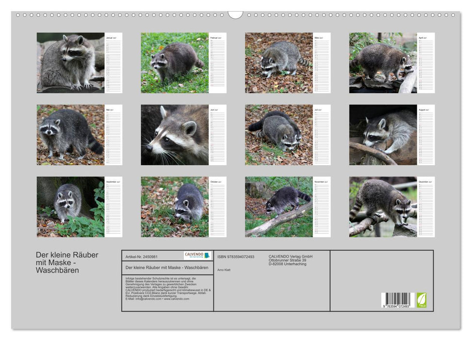 Der kleine Räuber mit Maske - Waschbären (CALVENDO Wandkalender 2027)
